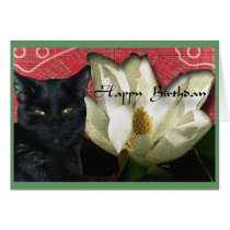 Black Cat and Magnolia