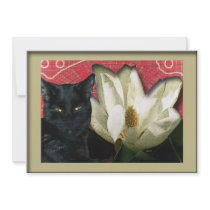 Black Cat and Magnolia