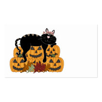 Black Cat and Pumpkins