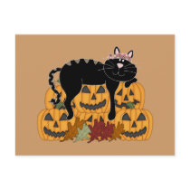 Black Cat and Pumpkins