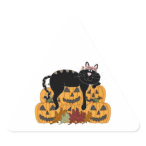 Black Cat and Pumpkins