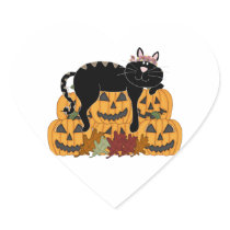 Black Cat and Pumpkins
