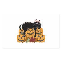 Black Cat and Pumpkins
