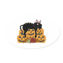 Black Cat and Pumpkins