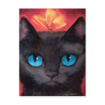 Black Cat Art  & Butterfly - Multi postcards