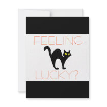 Black Cat Bad Luck