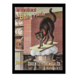 Black Cat Baking Soda Buffalo New York Postcard