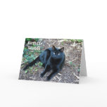 Black Cat Birthday Card 1