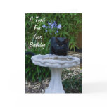 Black Cat Birthday Card 2
