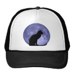Black Cat Blue Moon hathat