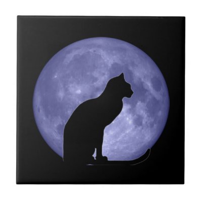 Black Cat Blue Moon Tile Trivet by bigspl