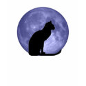 Black Cat, Blue Moon t-shirts