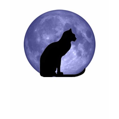 Black Cat, Blue Moon Tee Shirts by bigspl