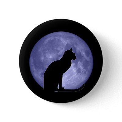 Black Cat Blue on Button Pin by bigspl