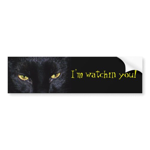 Black Cat Bumper Sticker zazzle_bumpersticker