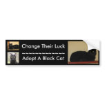 Black Cat bumper stickers