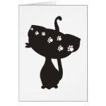 black cat