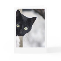 Black Cat Greeting Card