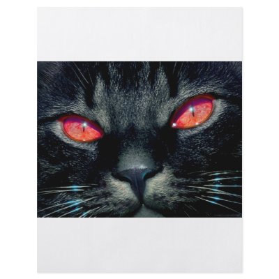 Black Cat Eyes Full Color Flyer by oddbob