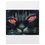 Black Cat Eyes flyers