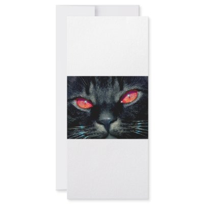 Black Cat Eyes Rack Card by oddbob