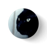 Black Cat Face Pin