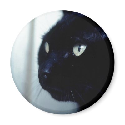 Black Cat Face Magnet by FallSeason