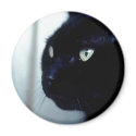 Black Cat Face magnets
