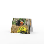 Black cat fall cards