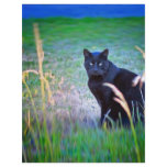 Black Cat