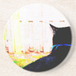 Black Cat From Back Looking Out Window Beverage Coasters