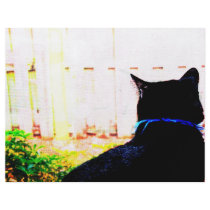 Black Cat From Back Looking Out Window Flyer Design