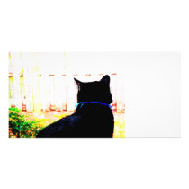 Black Cat From Back Looking Out Window Custom Photo Card