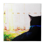 Black Cat From Back Looking Out Window Tiles