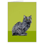 Black Cat green Card