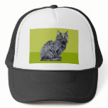 Black Cat green Hat