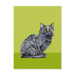 Black Cat green Postcard