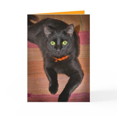 Black Cat Halloween Card by gardenparty