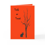 Black Cat Halloween