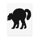 black cat halloween postcards