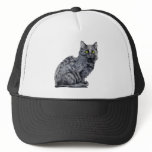 Black Cat Hat