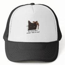 black cat