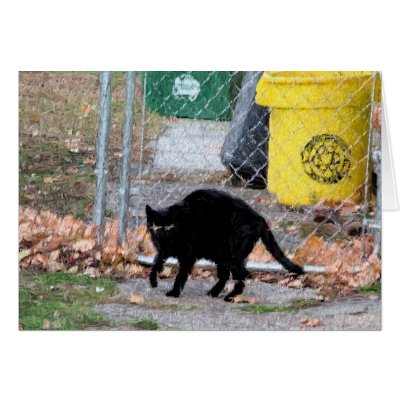 Black cat in Autumn Digital Art Greeting Cards by Quequay