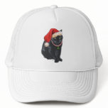 Black Cat in Santa Hat