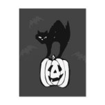 Black Cat Jack-o Bats