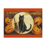 black cat & jackolanterns postcards