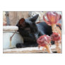 Black Cat Lazy Day