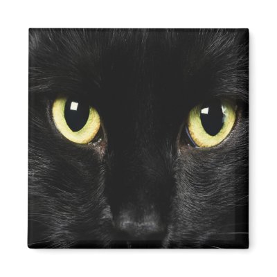 BLACK CAT Locker Magnets, Refrigerator by kjscreations