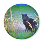 Black Cat