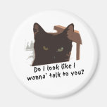 black cat magnet